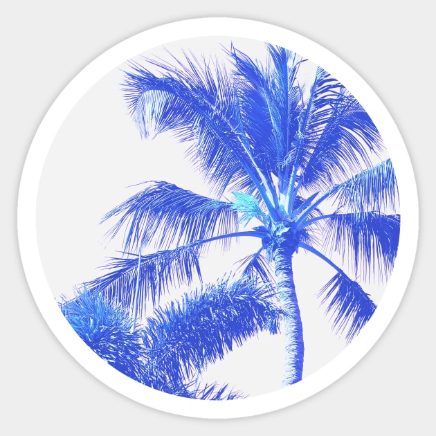 Blue Palm Trees in a Perfect Sky Sticker by Vin Zzep